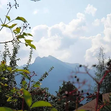 Hotel Alpenhotel Waidmannsheil 3*